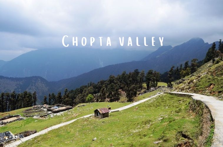 Chopta Tour Package – Nature, Trekking & Camping Bliss